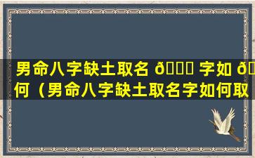 男命八字缺土取名 🐕 字如 🌹 何（男命八字缺土取名字如何取好）